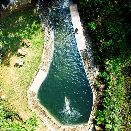 Natural Mystic Sanctuary Deniyaya Εξωτερικό φωτογραφία