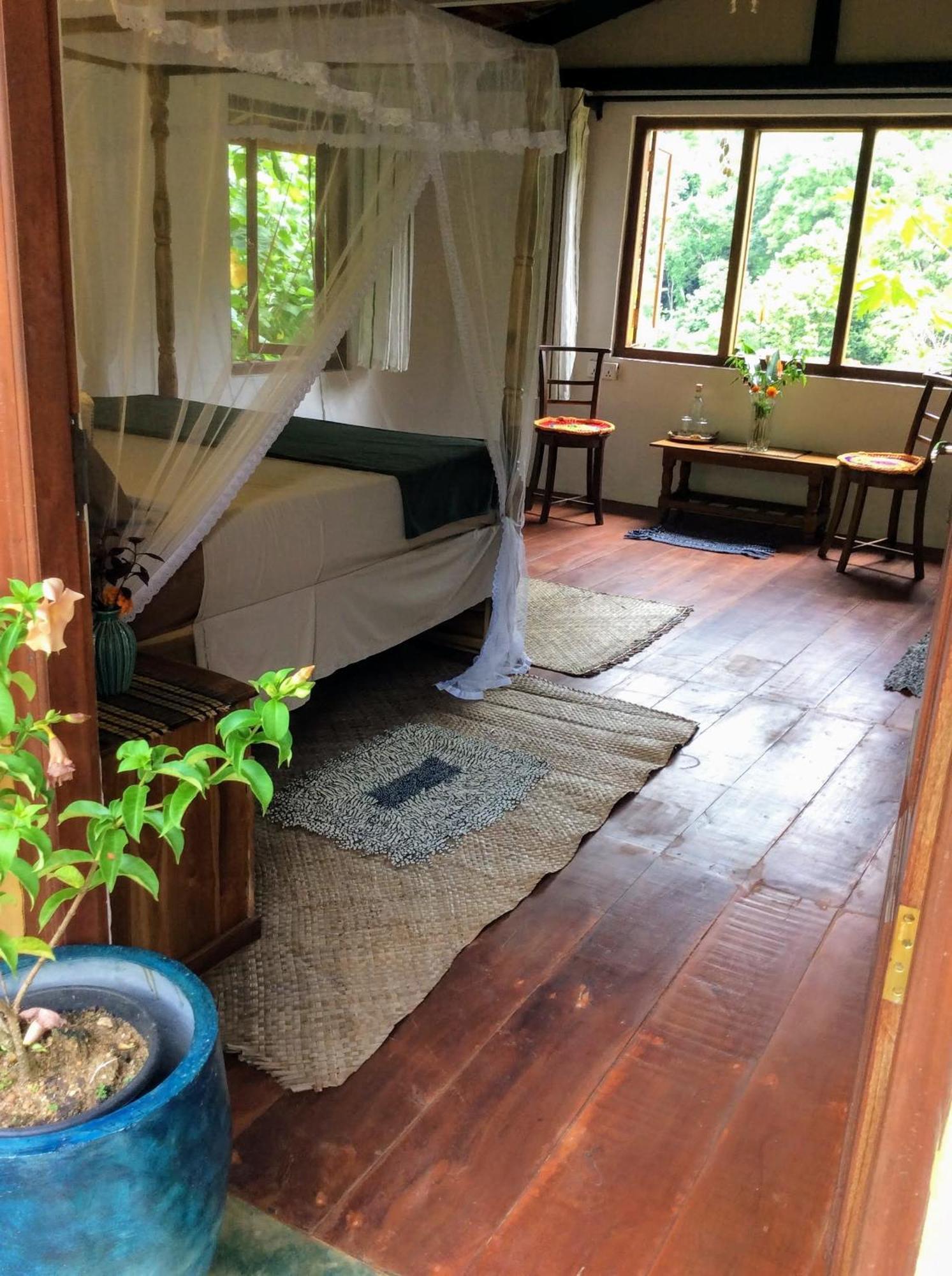 Natural Mystic Sanctuary Deniyaya Δωμάτιο φωτογραφία