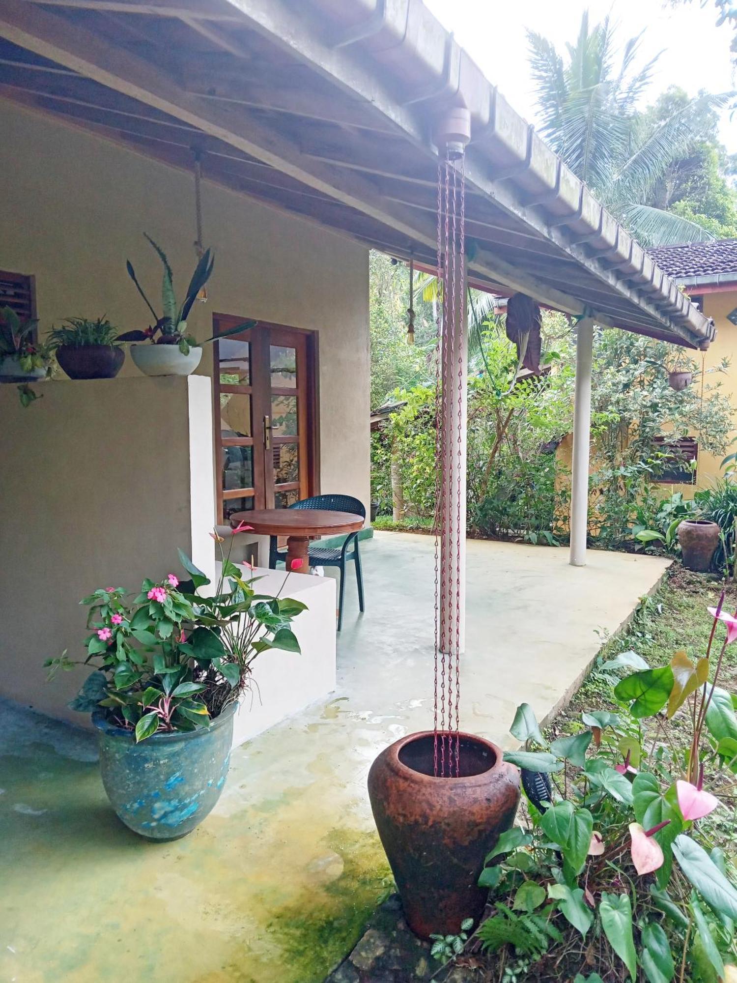 Natural Mystic Sanctuary Deniyaya Εξωτερικό φωτογραφία
