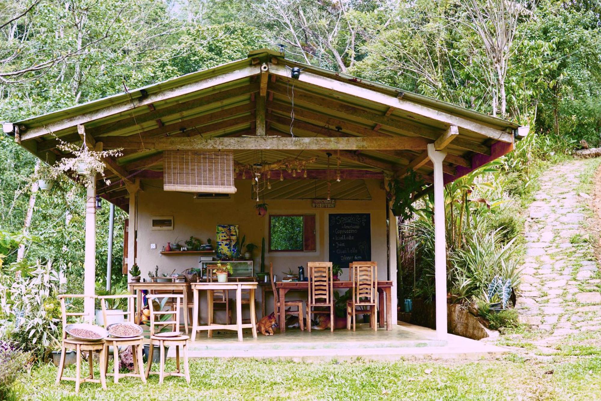 Natural Mystic Sanctuary Deniyaya Εξωτερικό φωτογραφία