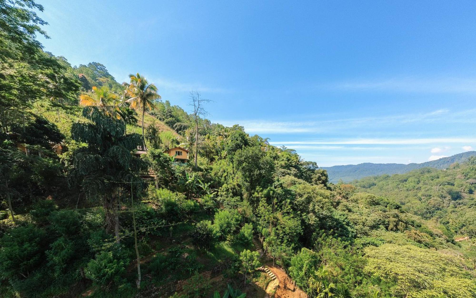 Natural Mystic Sanctuary Deniyaya Εξωτερικό φωτογραφία
