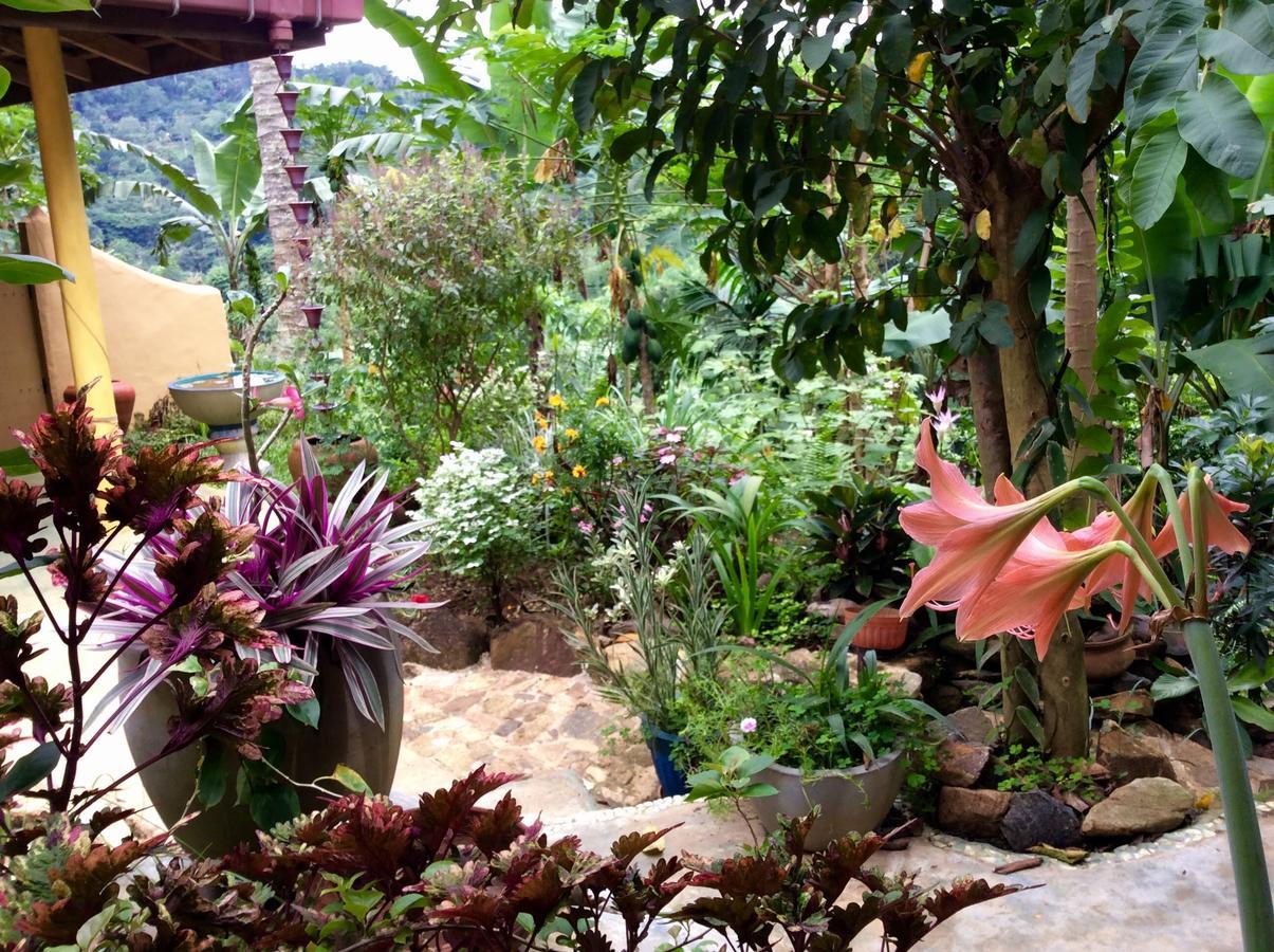 Natural Mystic Sanctuary Deniyaya Εξωτερικό φωτογραφία