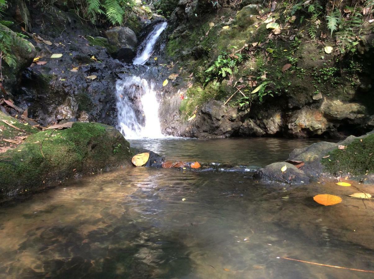 Natural Mystic Sanctuary Deniyaya Εξωτερικό φωτογραφία